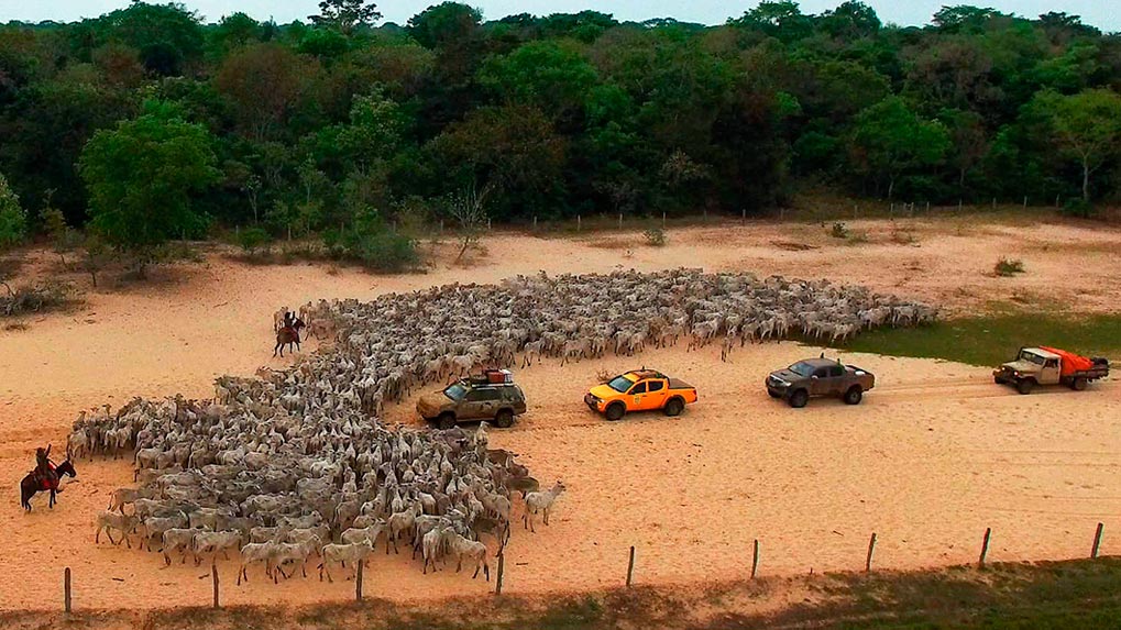 Expedition Pantanal 500 